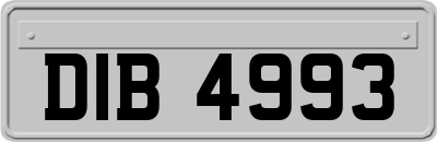 DIB4993