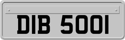 DIB5001
