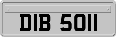 DIB5011