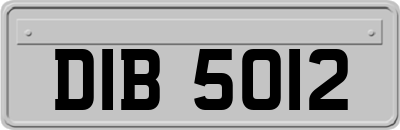 DIB5012