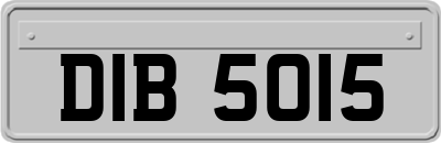 DIB5015