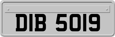 DIB5019