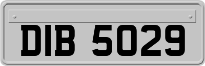 DIB5029