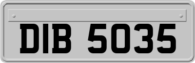 DIB5035