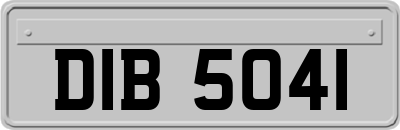 DIB5041