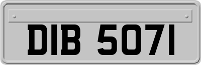 DIB5071