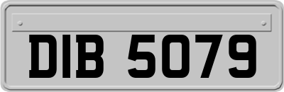 DIB5079