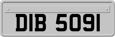 DIB5091