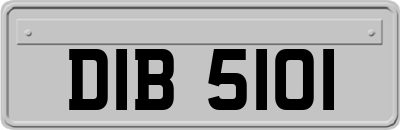 DIB5101