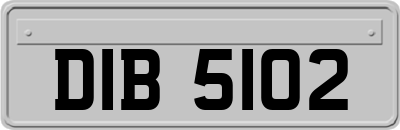 DIB5102