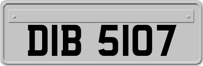 DIB5107