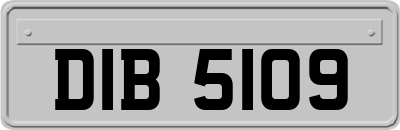 DIB5109