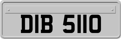 DIB5110