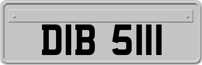 DIB5111