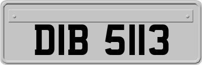 DIB5113