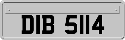 DIB5114