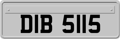 DIB5115