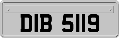 DIB5119