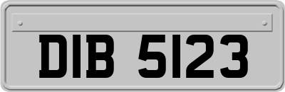 DIB5123