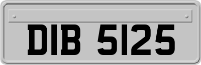DIB5125