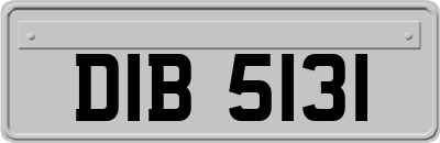 DIB5131