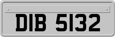 DIB5132