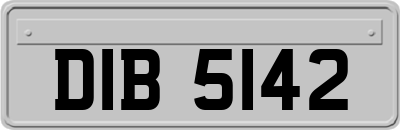 DIB5142