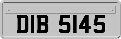 DIB5145