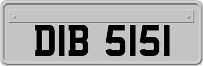 DIB5151