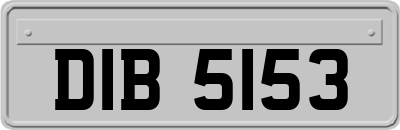 DIB5153