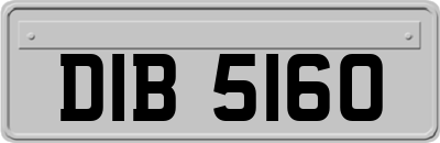 DIB5160