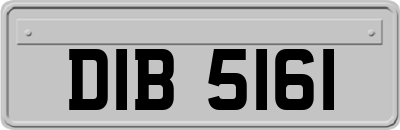 DIB5161