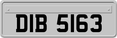 DIB5163