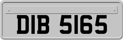 DIB5165
