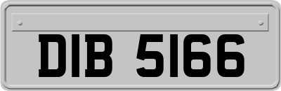 DIB5166
