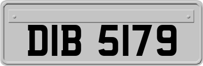 DIB5179