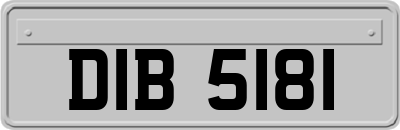 DIB5181