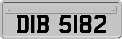 DIB5182