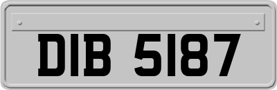 DIB5187