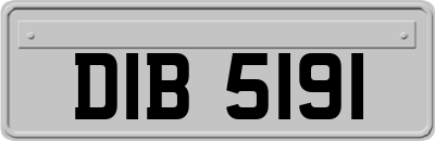 DIB5191