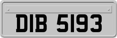 DIB5193