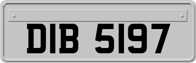 DIB5197