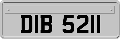 DIB5211