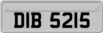 DIB5215