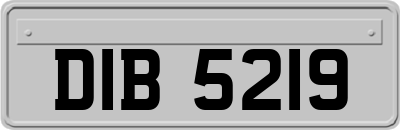 DIB5219