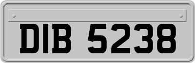 DIB5238