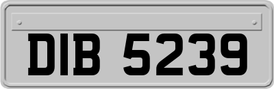 DIB5239
