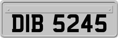 DIB5245