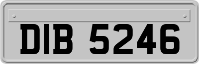 DIB5246