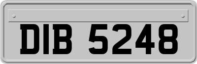 DIB5248
